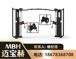 曲靖大飞鸟训练器
